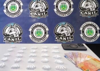 Canil da GCM prende traficante com 124 porções de cocaína — #PraCegoVer: imagem mostra material apreendido pela Guarda Civil Municipal durante ocorrência no Jardim das Orquídeas.