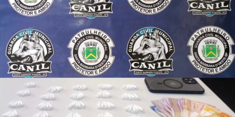 Canil da GCM prende traficante com 124 porções de cocaína — #PraCegoVer: imagem mostra material apreendido pela Guarda Civil Municipal durante ocorrência no Jardim das Orquídeas.