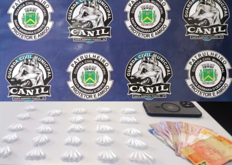 Canil da GCM prende traficante com 124 porções de cocaína — #PraCegoVer: imagem mostra material apreendido pela Guarda Civil Municipal durante ocorrência no Jardim das Orquídeas.
