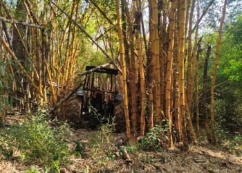 trator e caminhão roubados localizados pela Guarda Civil Metropolitana de Piracicaba na zona rural de Rio das Pedras. #PraCegoVer: Trator Valtra 785 e caminhão Mercedes-Benz 1313 vermelho recuperados durante operação de busca em área rural.