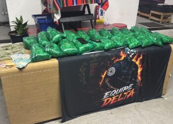 Denúncia leva à fiscalização da GAMA na Vila Bertini e apreensão de folhas de coca