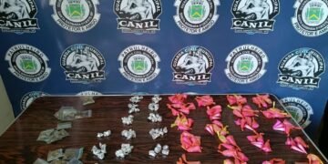GCM apreende drogas em área verde no bairro Nova Conquista em Santa Bárbara — #PraCegoVer: imagem da ocorrência da Guarda Civil Municipal com material apreendido durante buscas realizadas pelo Canil.