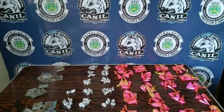 GCM apreende drogas em área verde no bairro Nova Conquista em Santa Bárbara — #PraCegoVer: imagem da ocorrência da Guarda Civil Municipal com material apreendido durante buscas realizadas pelo Canil.