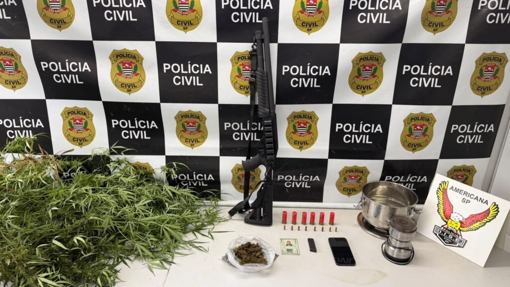 Tráfico de drogas em chácara com estufa de maconha em Sumaré. #PraCegoVer: Fotografia dos materiais apreendidos pela Polícia Civil durante a operação GG, incluindo pés de maconha, uma espingarda, munições e objetos encontrados na propriedade rural.