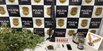 Tráfico de drogas em chácara com estufa de maconha em Sumaré. #PraCegoVer: Fotografia dos materiais apreendidos pela Polícia Civil durante a operação GG, incluindo pés de maconha, uma espingarda, munições e objetos encontrados na propriedade rural.