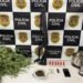 DISE prende empresário por tráfico de drogas em chácara com estufa de maconha em Sumaré