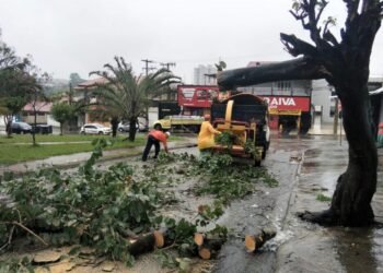 limpeza e liberação de vias em Sorocaba. #PraCegoVer trabalhadores da prefeitura limpando vias após chuva