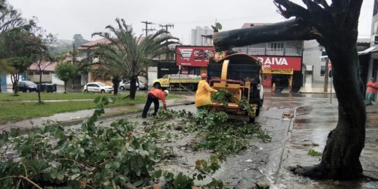 limpeza e liberação de vias em Sorocaba. #PraCegoVer trabalhadores da prefeitura limpando vias após chuva