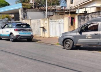 GAMA prende mulher por maus-tratos a animais em Americana. #PraCegoVer: Dois cães resgatados após denúncia de maus-tratos no Jardim São Manoel.