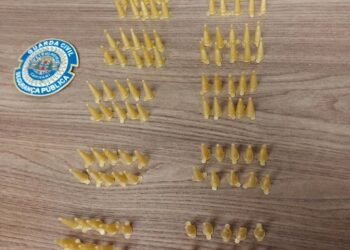 Guarda Civil faz apreensão de 100 porções de cocaína no bairro Porto Alegre em Capivari