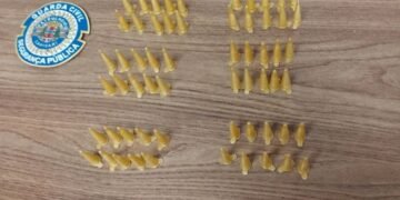 Guarda Civil faz apreensão de 100 porções de cocaína no bairro Porto Alegre em Capivari