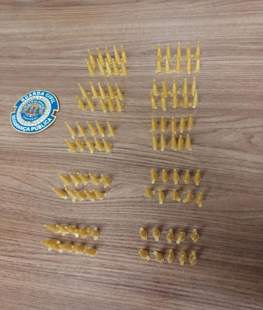Guarda Civil faz apreensão de 100 porções de cocaína no bairro Porto Alegre em Capivari