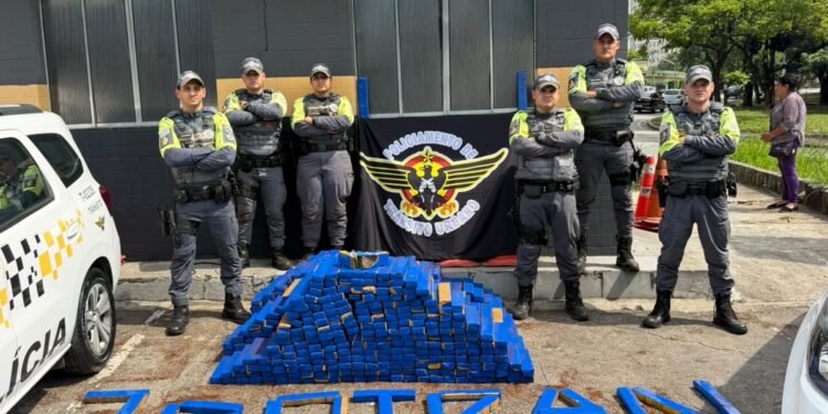 BPTran e FICCO prendem traficantes com 726 kg de maconha #PraCegoVer grande quantidade de tabletes de maconha apreendida durante operação policial conjunta em São Paulo