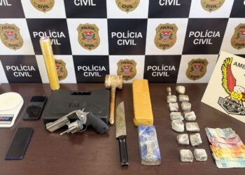 DISE prende traficante na operação Magrelo com arma e maconha em Hortolândia