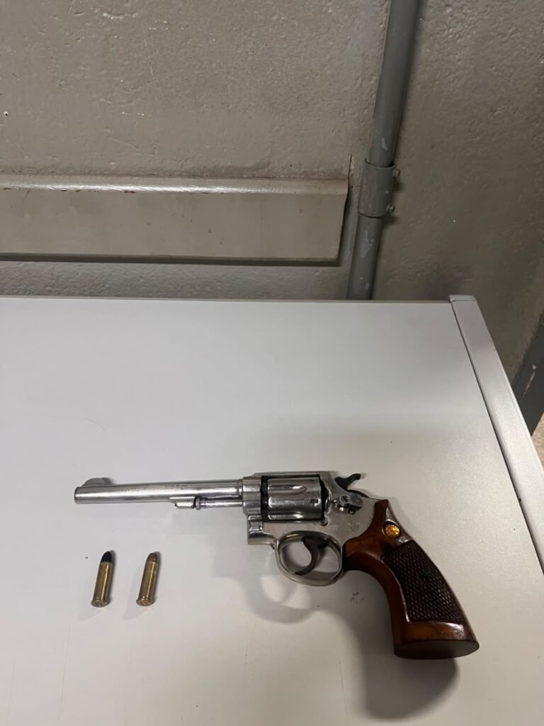 BAEP prende homem por porte ilegal de arma de fogo no Parque Piracicaba