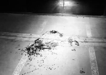 GAMA prende homem por violência doméstica em Americana na Avenida de Cillo