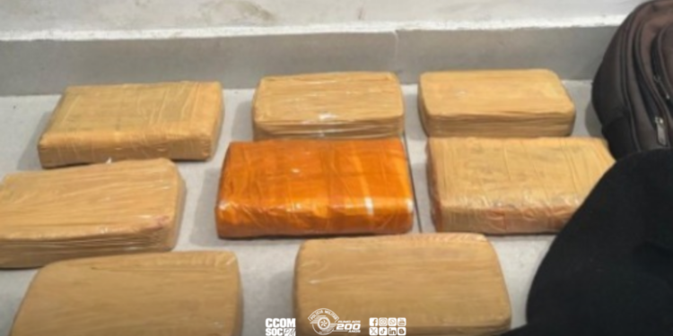 8,65 kg de cocaína em casa bomba. 8,65 kg de cocaína em casa-bomba #PraCegoVer foto da operação