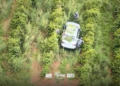 carro usado em roubo a residência em Bauru #PraCegoVer veículo abandonado na plantação