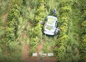 carro usado em roubo a residência em Bauru #PraCegoVer veículo abandonado na plantação