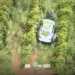 carro usado em roubo a residência em Bauru #PraCegoVer veículo abandonado na plantação